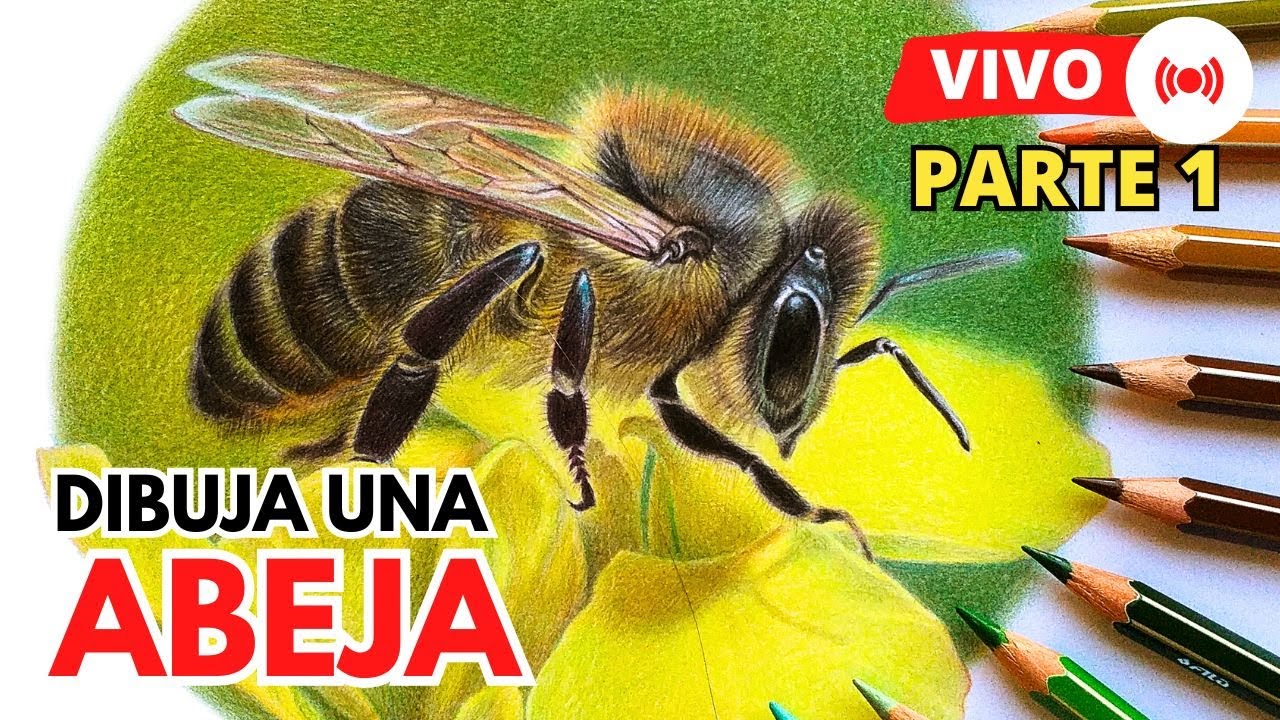 Como DIBUJAR una ABEJA Realista LÁPICES DE COLORES | Part 1| How to DRAW a realistic BEE 🐝