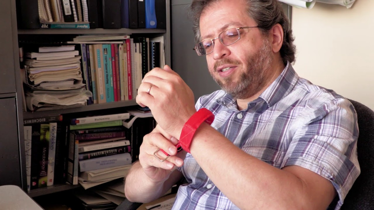 Using DNA to Create Genetically Engineered Circuits