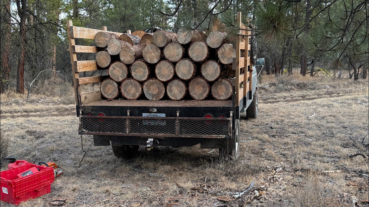 Late Fall Firewood ( Get it while you can! )