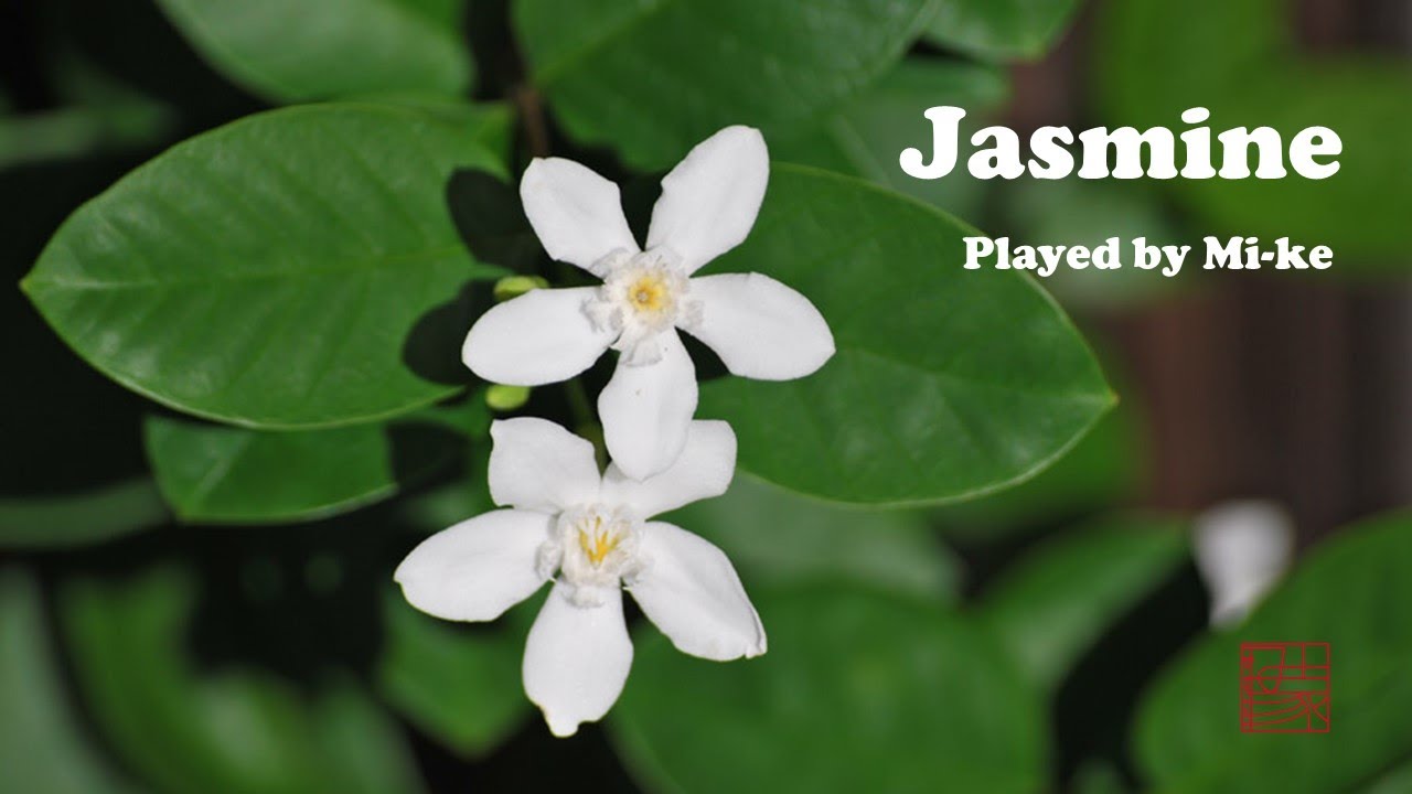 Jasmine - 茉莉花 - Pocket Sax - Xaphoon - み家 Mi-ke (Michi plays)