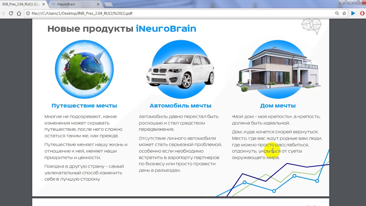 Краткий обзор презентации компании INEUROBRAIN