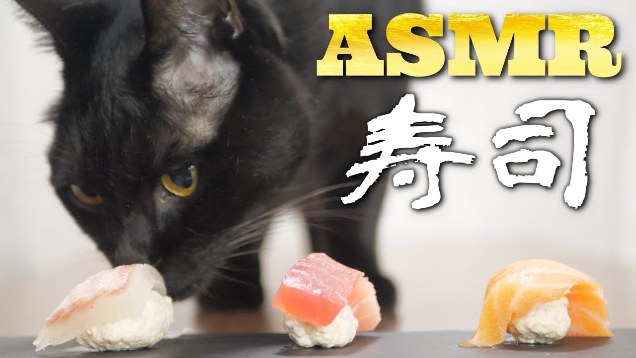 【ASMR】Кошка ест суши на Новый год🐈🍣🎧🎍
