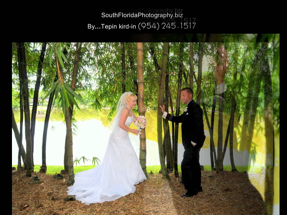 South Florida Photography : Great Wedding Memory -2 (Love in Morikami Japanese Gardens)