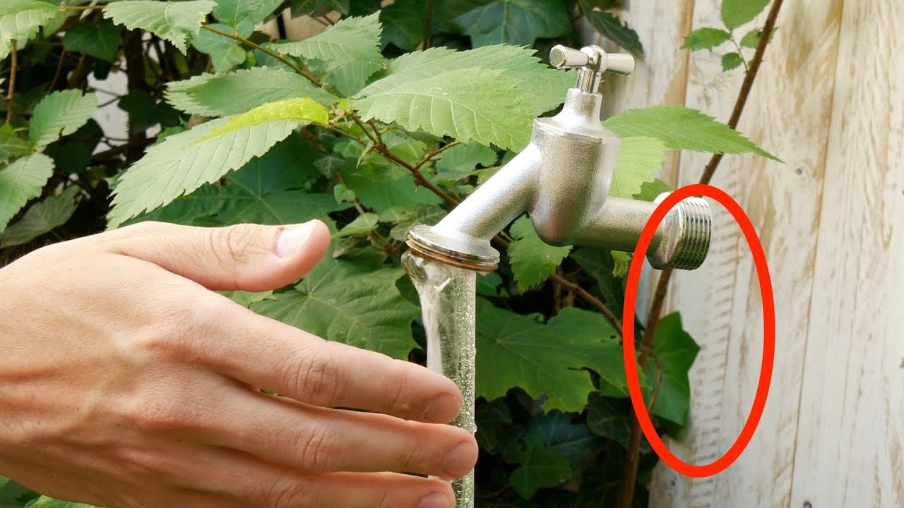 Ce que j'ai vu dans le jardin de ma voisine m'a coupé le souffle.