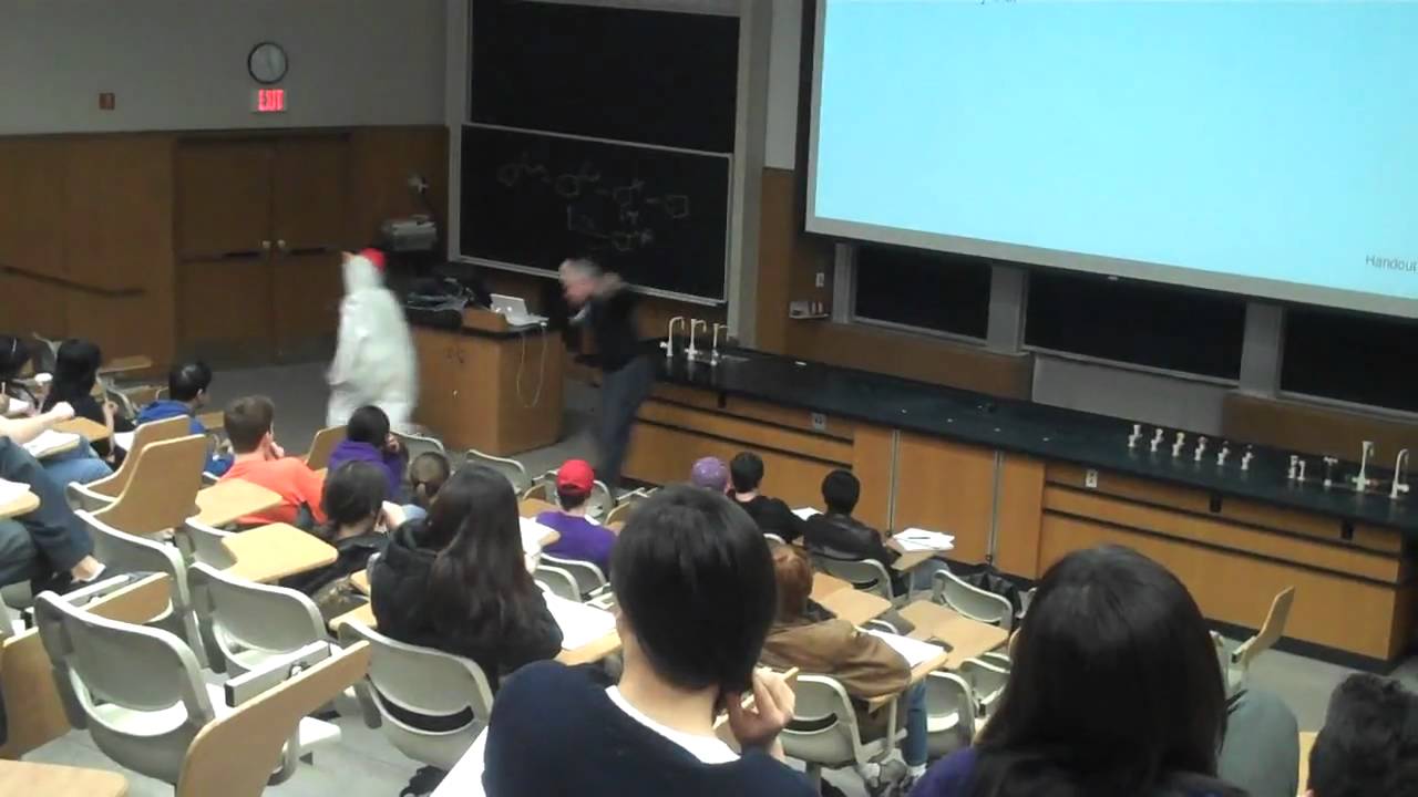 Somebody in a Chicken Suit