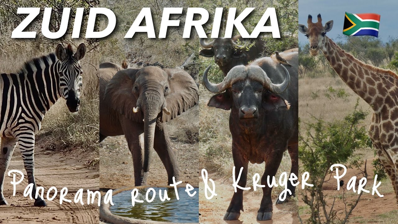 ZUID AFRIKA 2023 🇿🇦 Panorama Route & Krüger Park 🐘