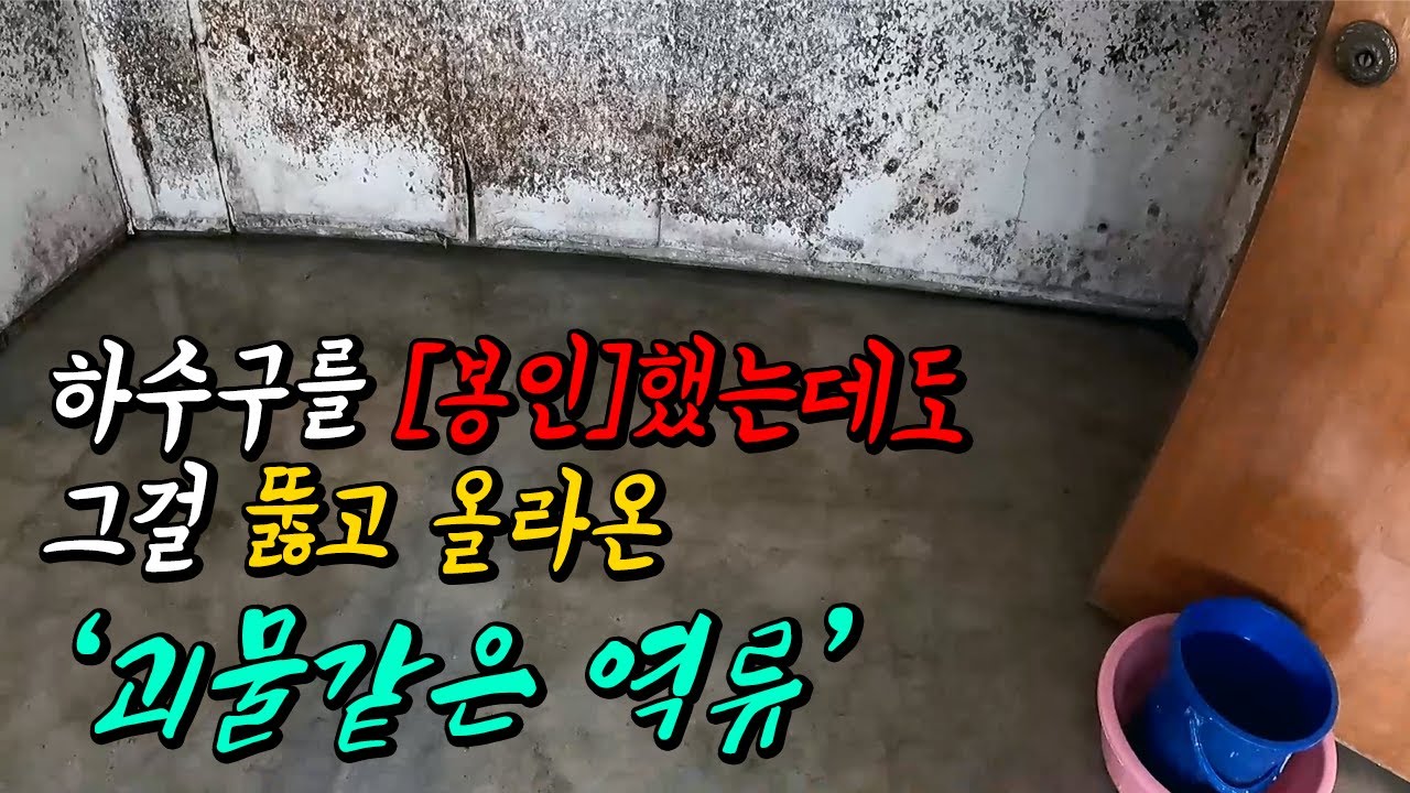 하수구 역류로 초토화된 반지하 하수구 복원기 (92화) | 하수구공식TV📺