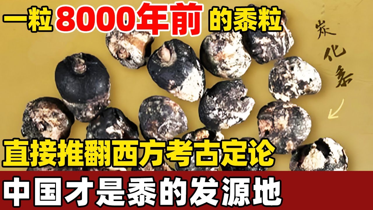 百年农作物起源之争！8000年的黍粒掀翻西方考古定论，中国才是黍的发源地！【考古秘闻】