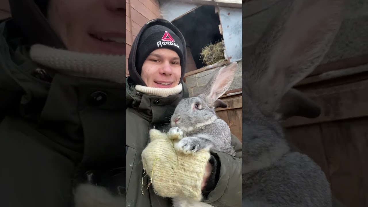 Будни Молодого фермера 👨&zwj;🌾 Каких животных вы любите больше всех ?