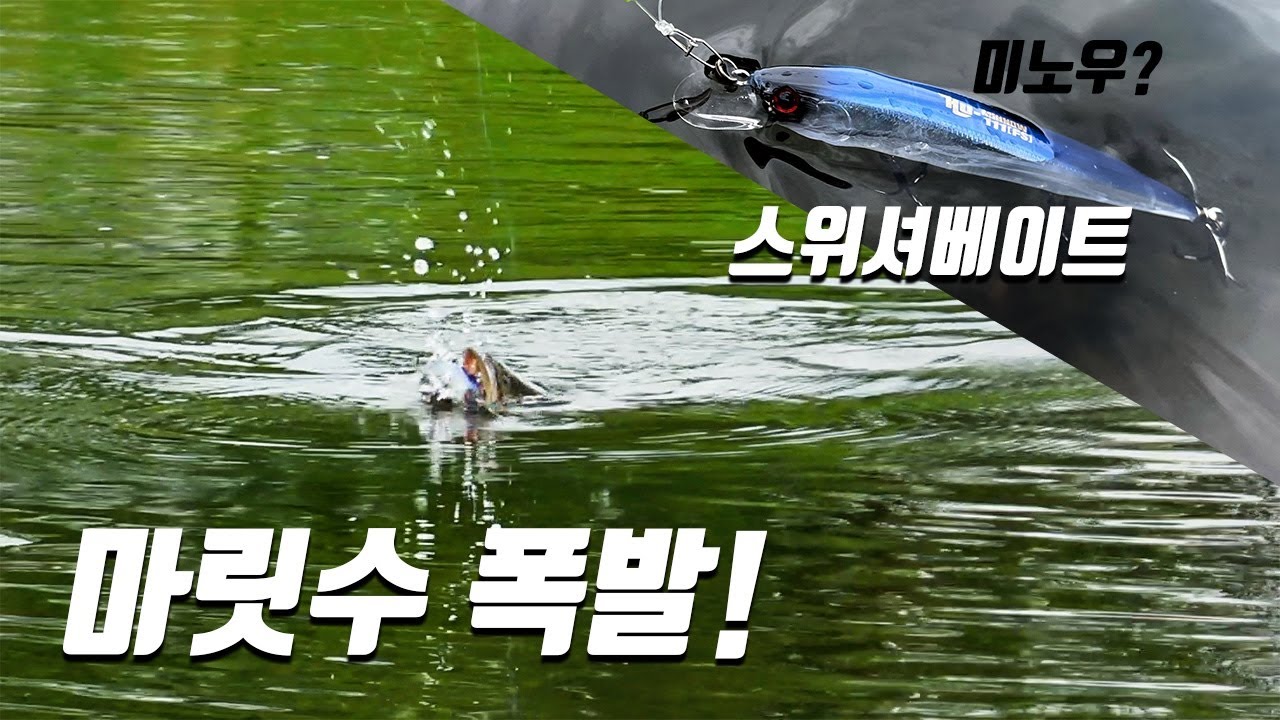 뜨거운 배스에게 위험한 움직임 [with 신현민]