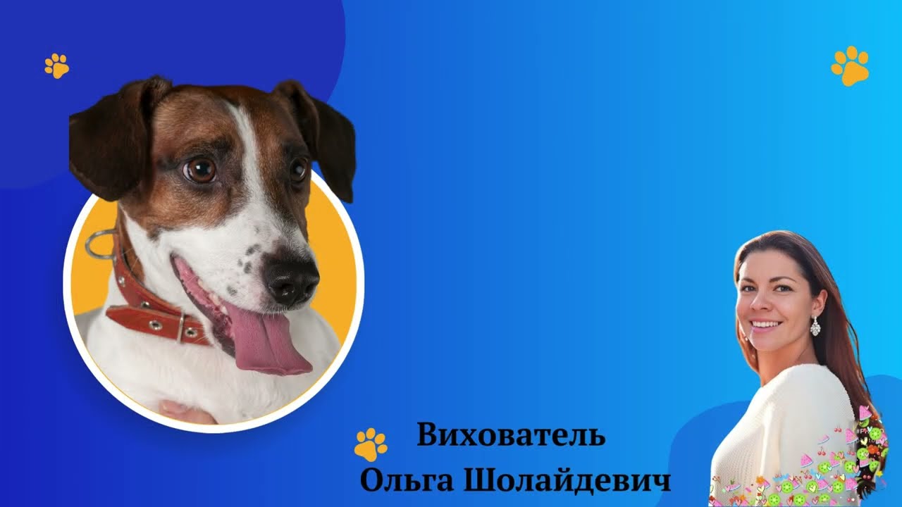 Руханка “З псом Патроном”