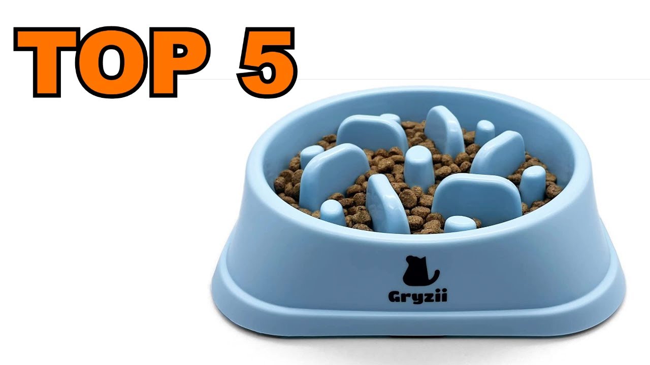 gamelle anti glouton chat : TOP 5 des gamelles anti glouton à acheter en 2023 ! (chat/chient)