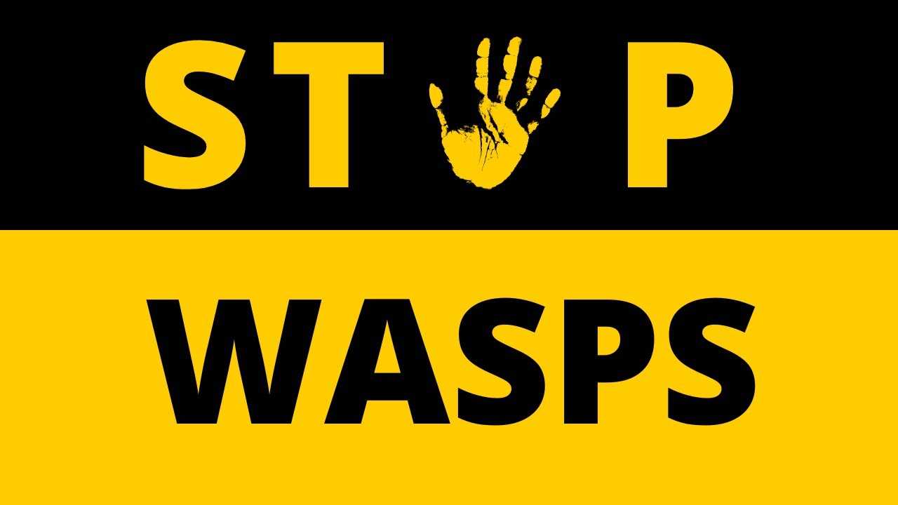 WASP TRAP EXTRAORDINAIRE - and we get you a discount!