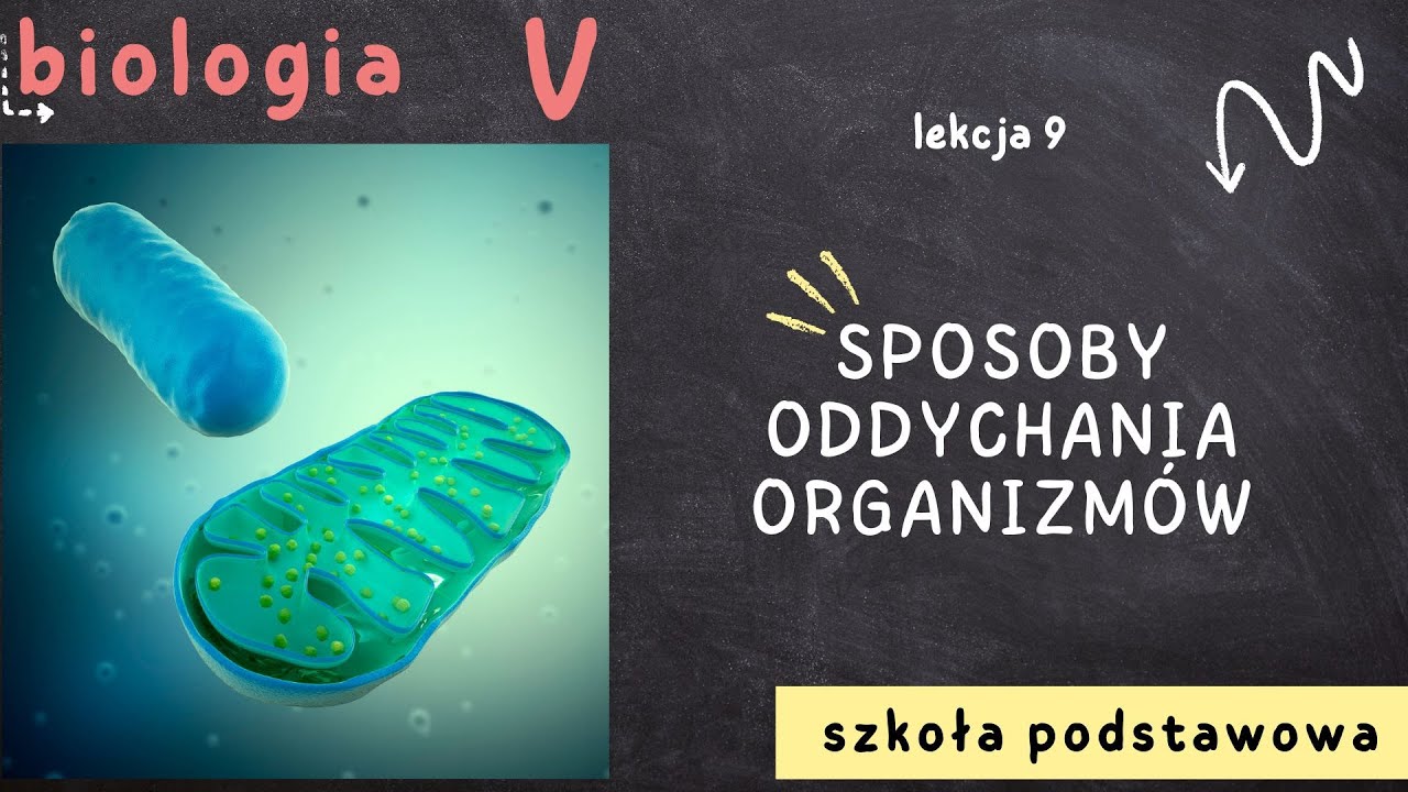 Biologia klasa 5 [Lekcja 9 - Sposoby oddychania organizmów]