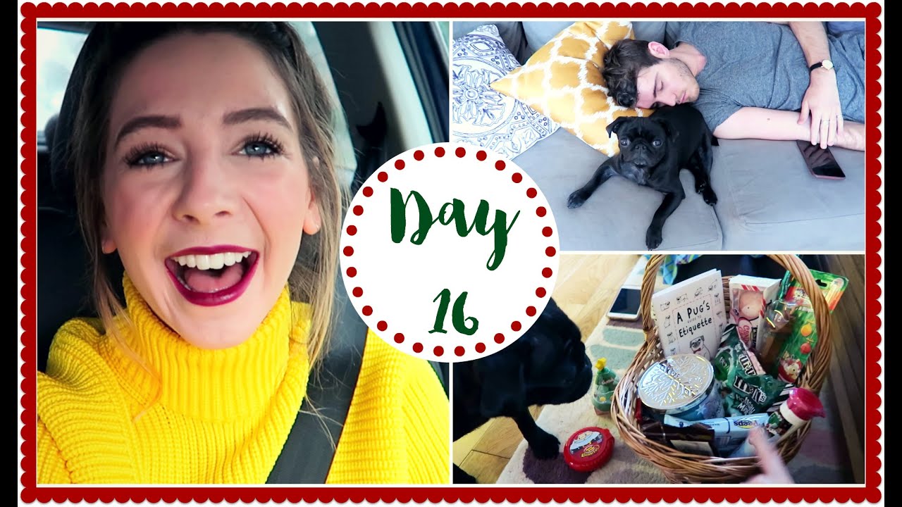 TWO SLEEPY PUPPIES | VLOGMAS
