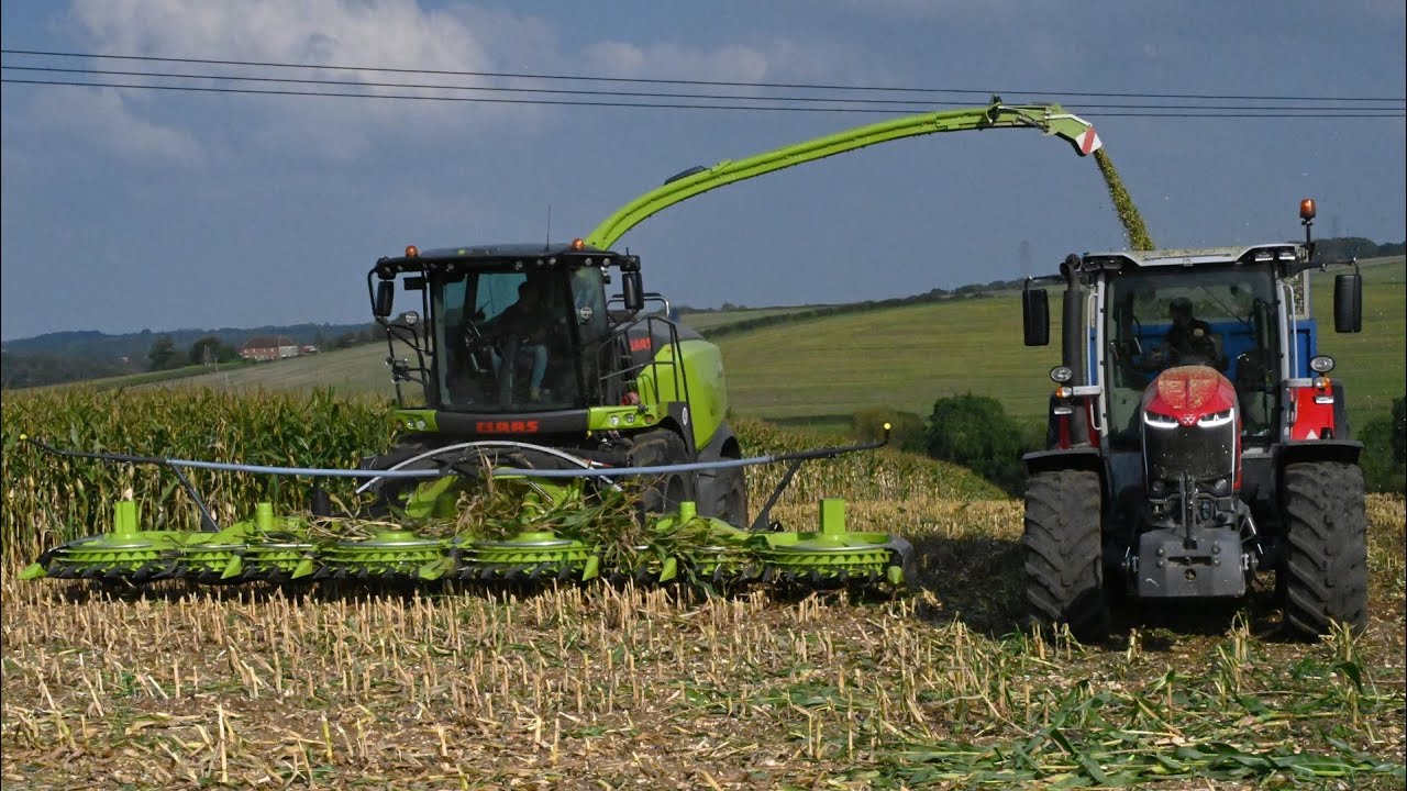 Maize Harvest 2024 - NEW Claas Jaguar 970 50 Years On Demo & Massey Fergusons, John Deere and Fendts