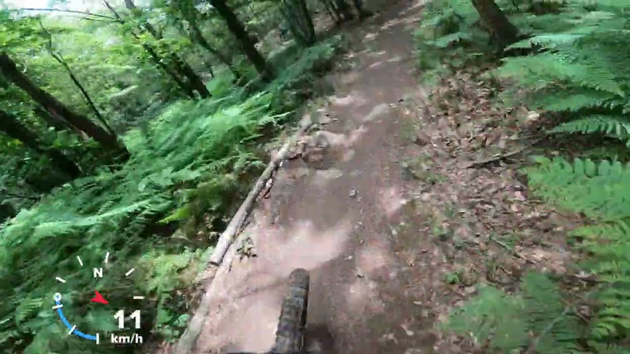 Vaiano PS1 (Faggione + Lisca)