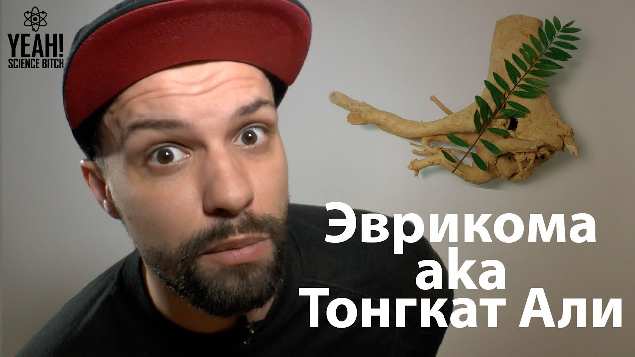 Эврикома aka Тонгкат Али для спорта и секса
