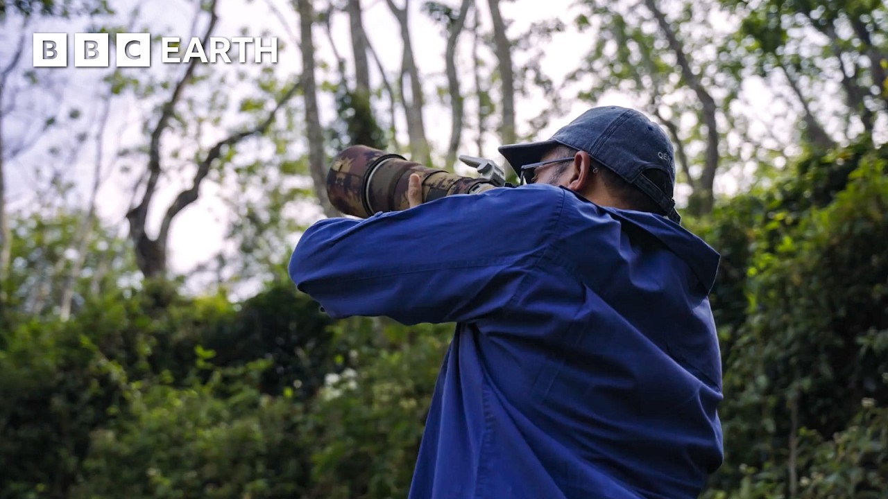 POV: Photographing India's Rarest Wildlife | In Search Of Nature | BBC Earth Explore