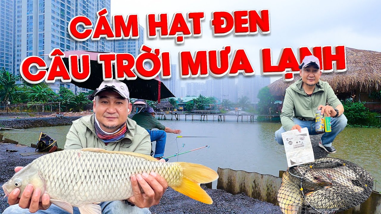 CÁM HẠT ĐEN ĐI CÂU CÁ TRỜI MƯA BÃO VÀ CÁI KẾT !
