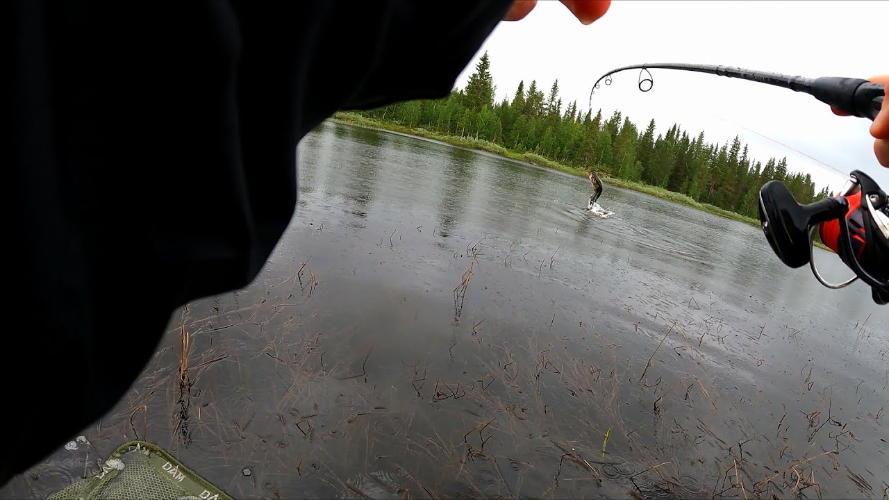 Angeln in Schweden 2022- Topwater-Action und grosse Freude (PB) *Teil 2