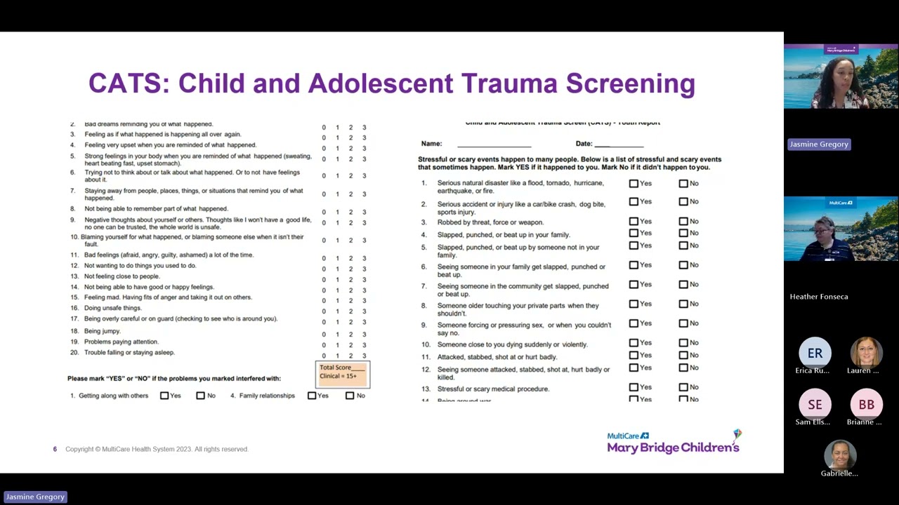 Youth Behavioral Health Training Suicide Risk Assessment, Safety Planning, and Crisis Intervention