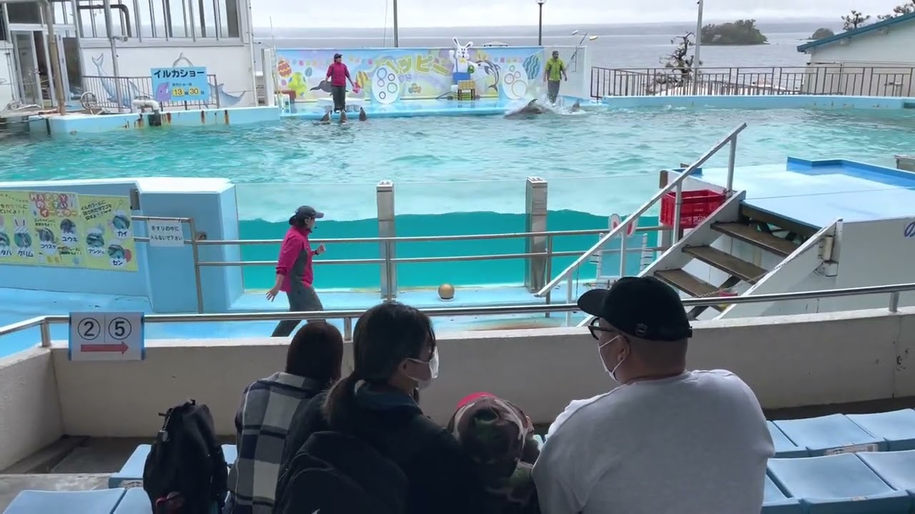 【のとじま水族館】ノーカットイルカとアシカのショー