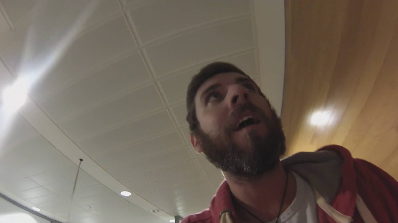 Surprise homecoming to Ireland from New Zealand