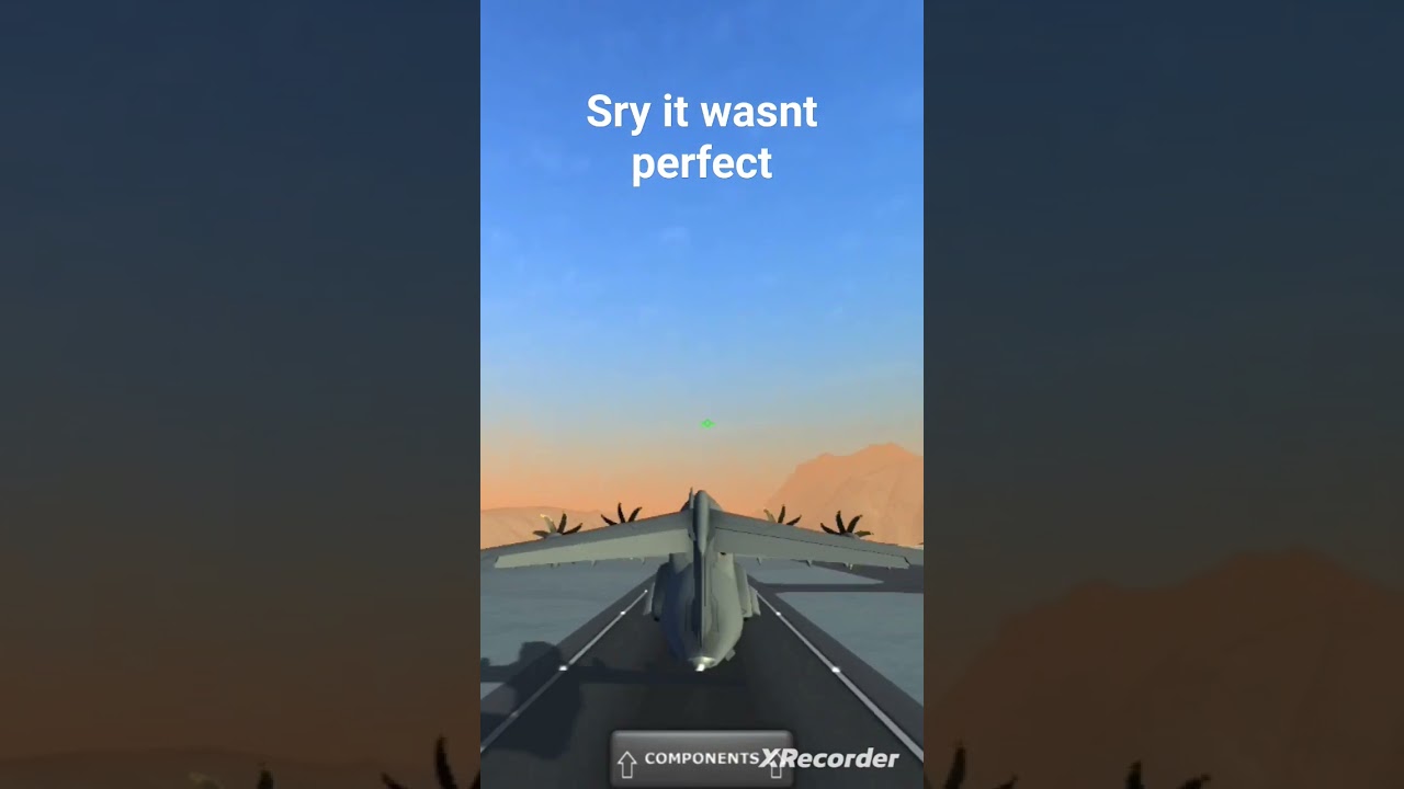 pilot pov of the runway incident in tfs