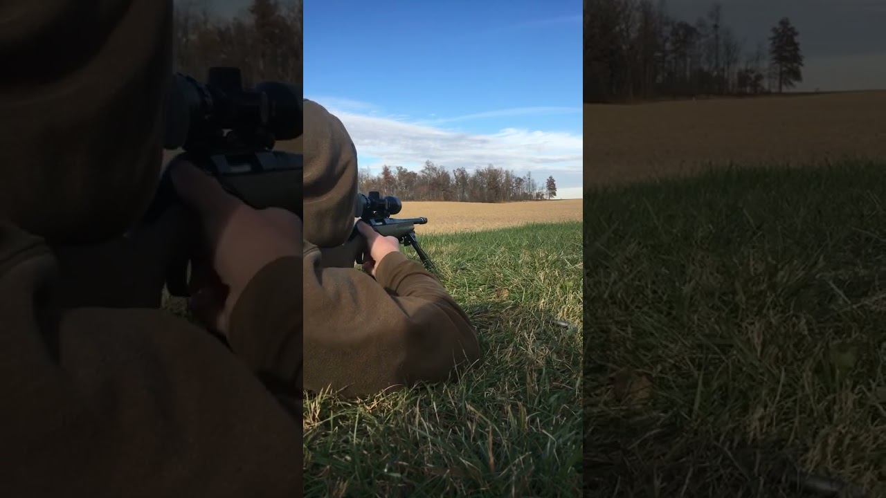 Ruger Ranch 762x39
