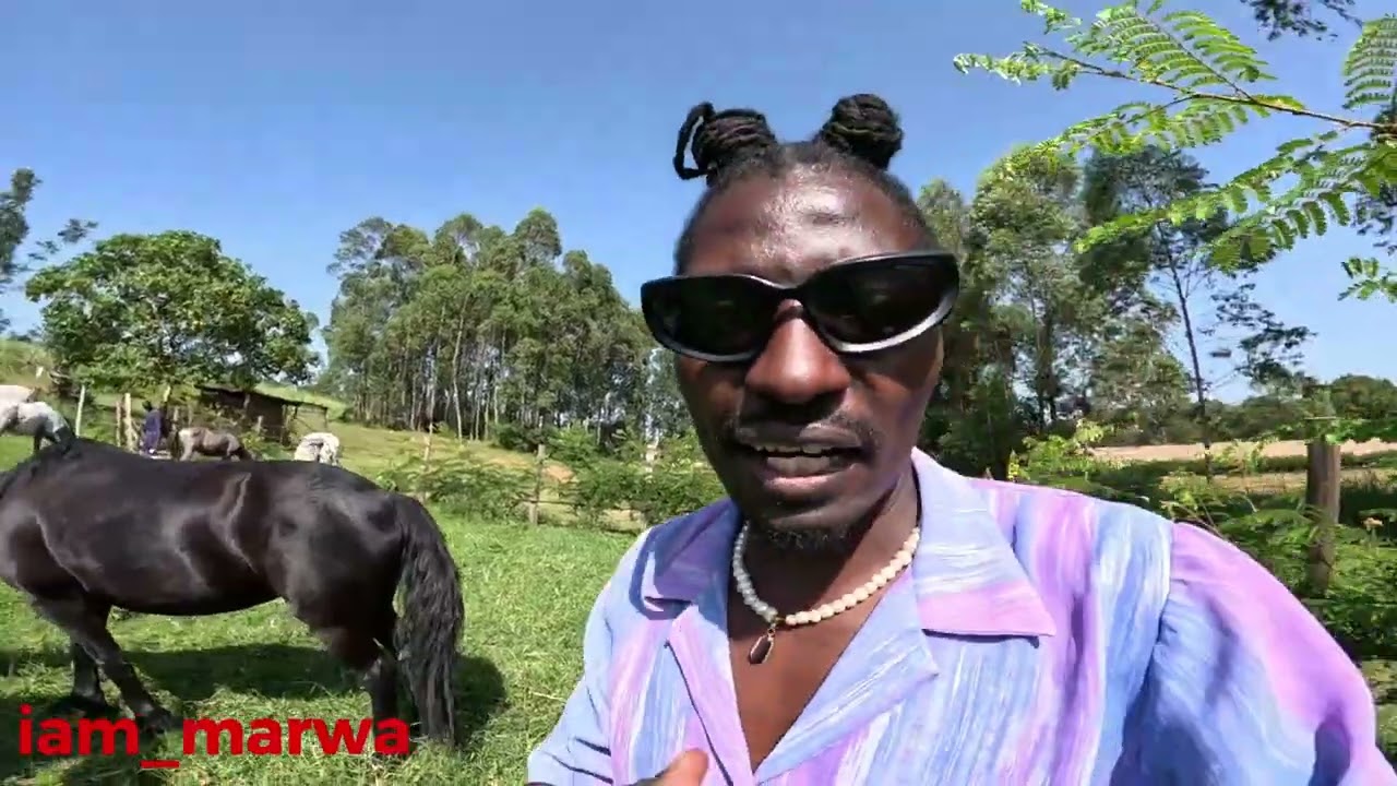 THE LANGUAGE OF THE POOR , STORIES FROM AFRICA !!!