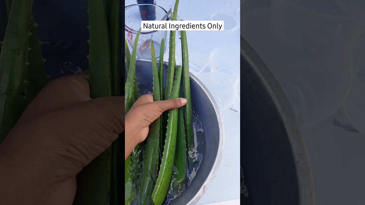 soap prep aloe vera plant 