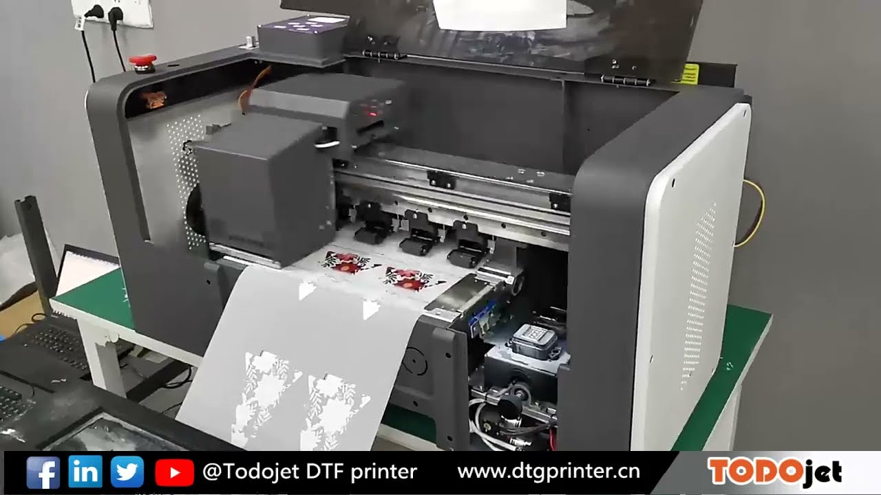A3 DTF Printer /PET film printer with two printheads