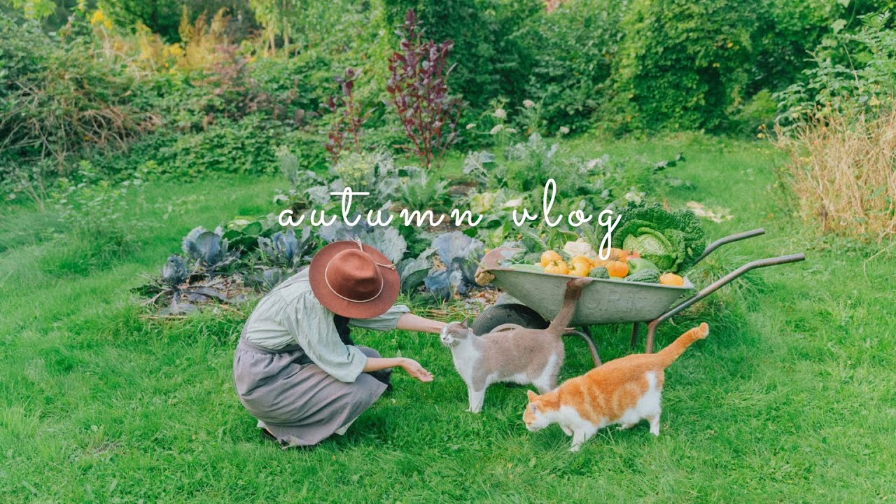 #160 October Autumn vlog: Harvest and Cooking Pumpkin, Weekend Trip, Halloween 🎃
