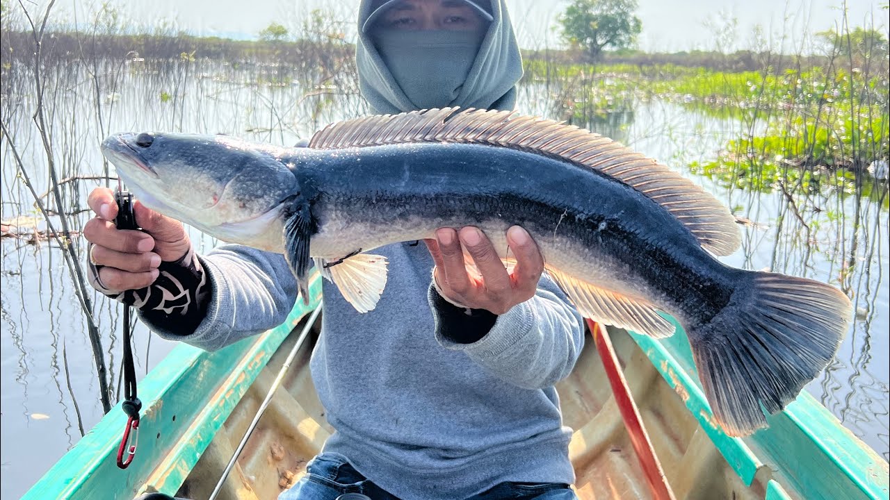 បឹងក្រាញ់ កំពង់លួង