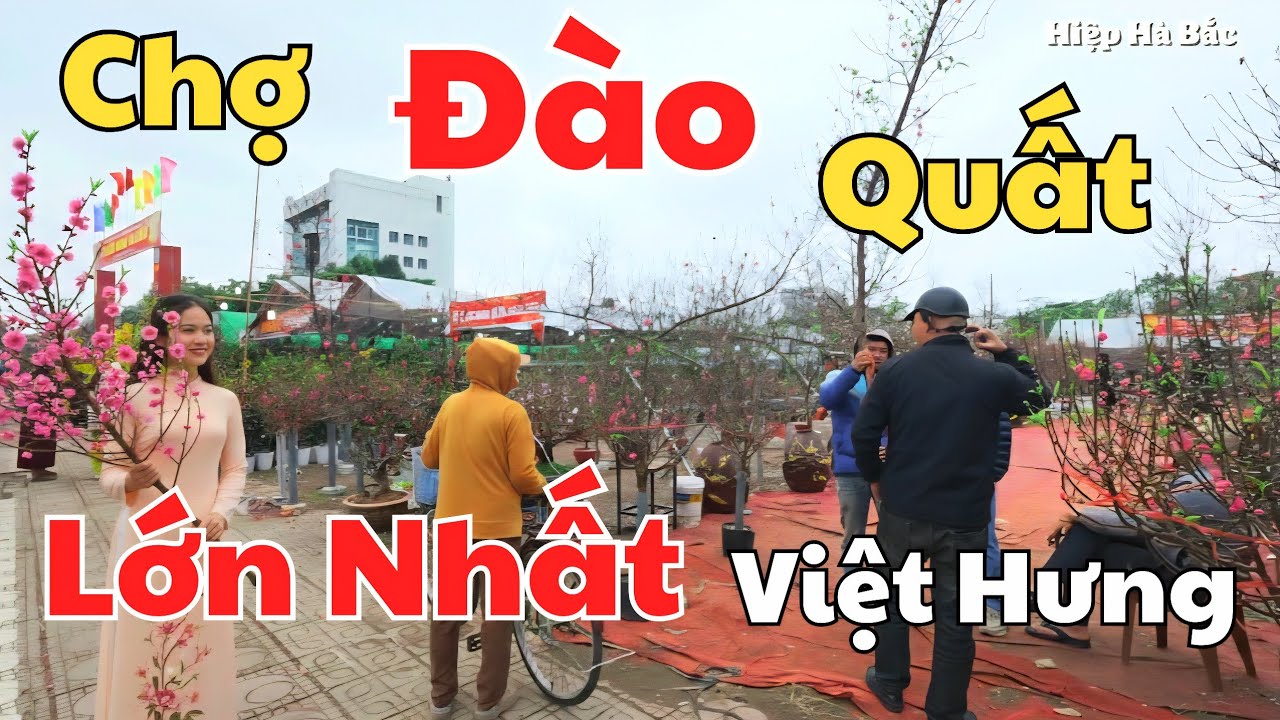 Chợ Đào Quất Ngô Gia Tự, 