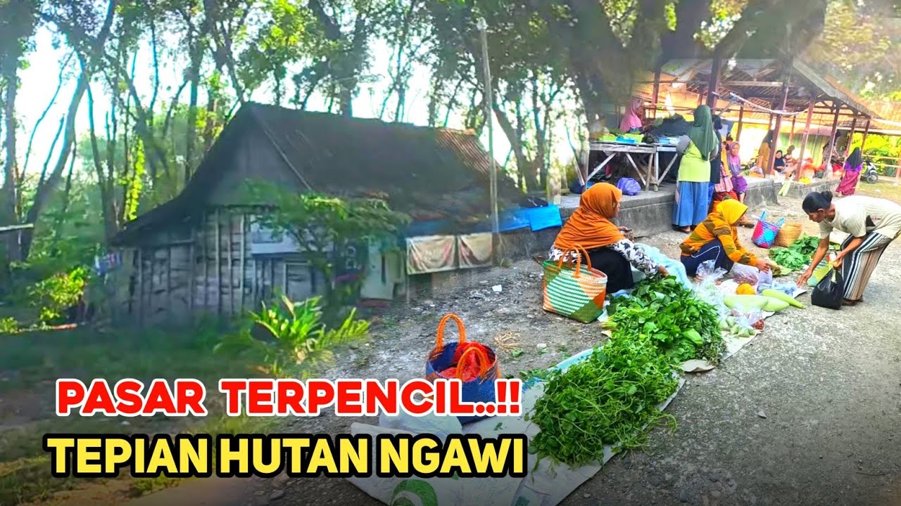 Pasar Terpencil Tepian Hutan Pedalaman Ngawi