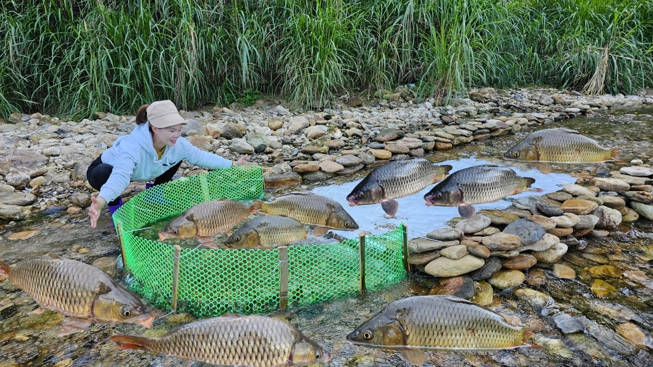 Ana made a fish trap using the traditional method. Luckily, she caught a lot of big fish sold them.