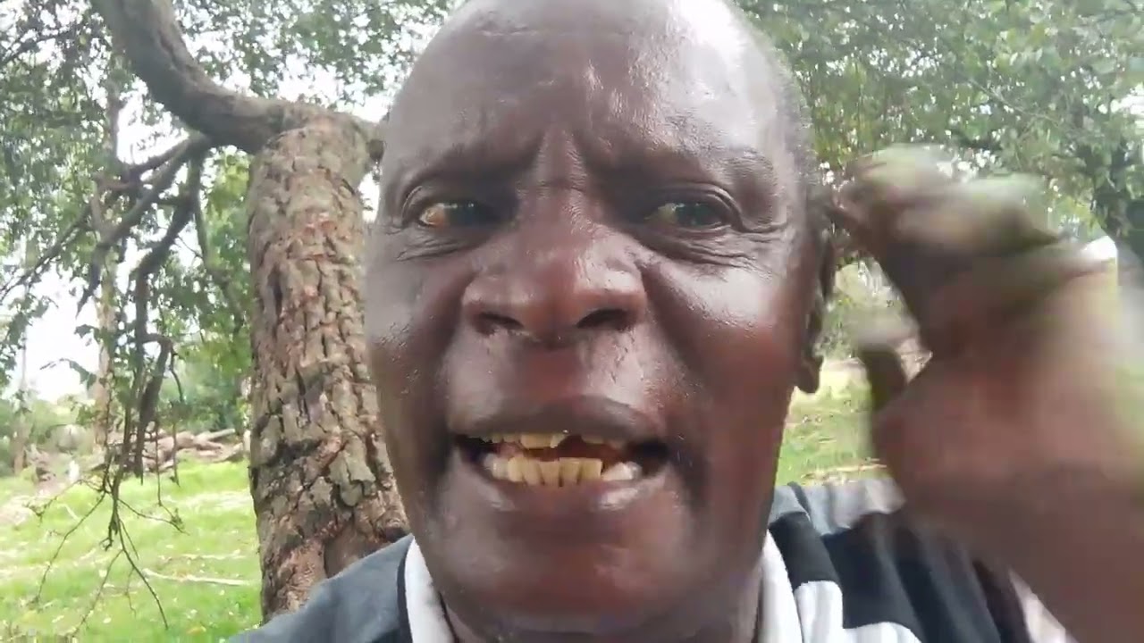 @davyjnr3009 - Я настоящий сын своего отца! Убирайся отсюда!!