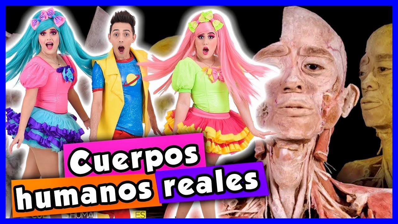 CUERPOS HUMANOS REALES / SHOW PIEDRA PAPEL O TIJERA / PARTES DEL CUERPO EXPOSICIÓN / CUERPO HUMANO