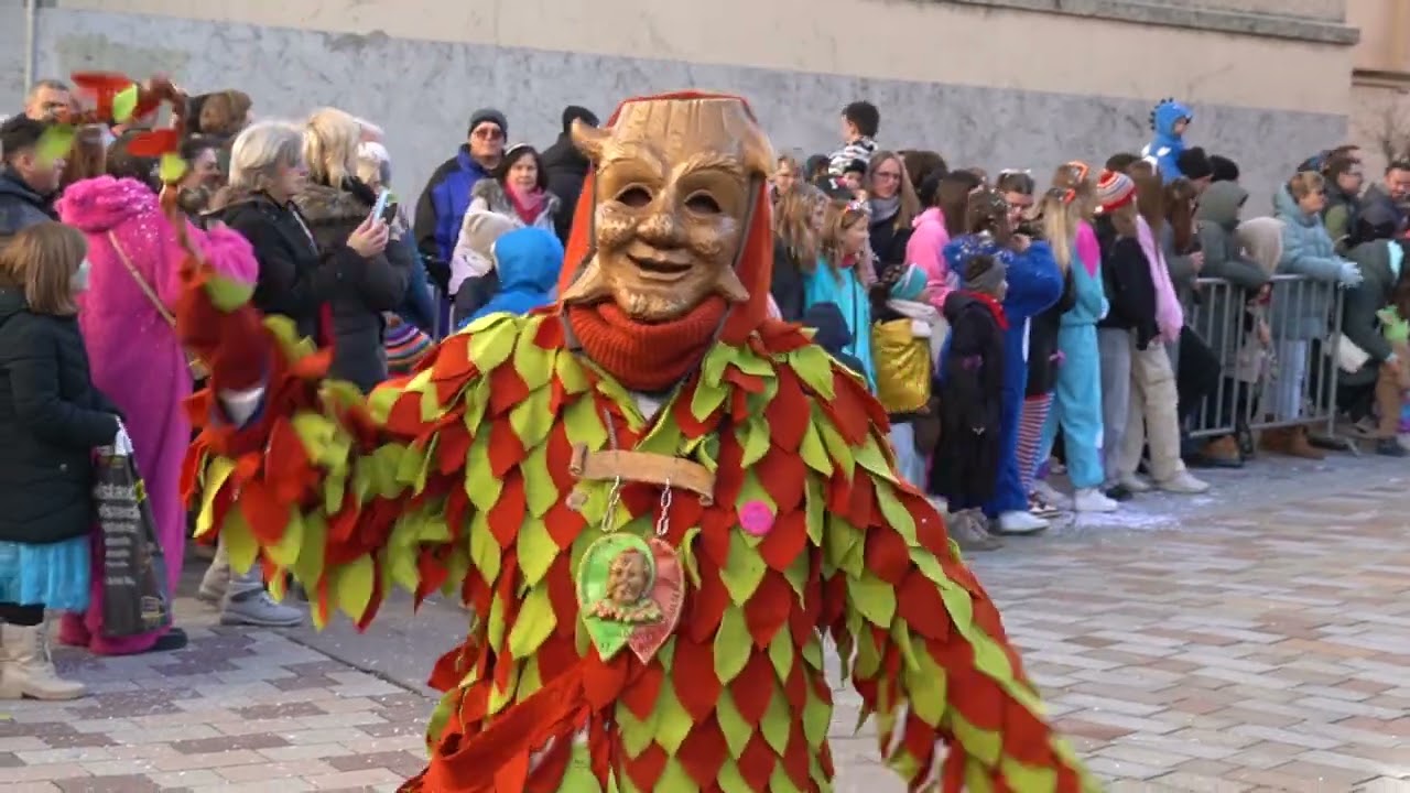 Narrentag Offenburg 27.01.2024