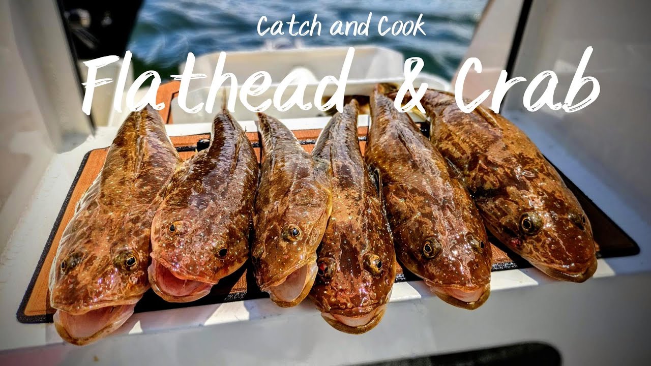 Catch and Cook  - Flathead and Crabs Off Sydney - Delicious Seafood Adventure