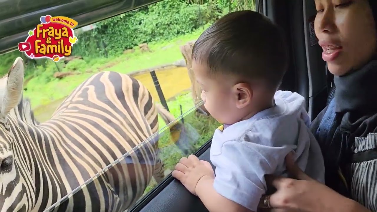 TAMAN SAFARI INDONESIA | Fraya Naik Unta