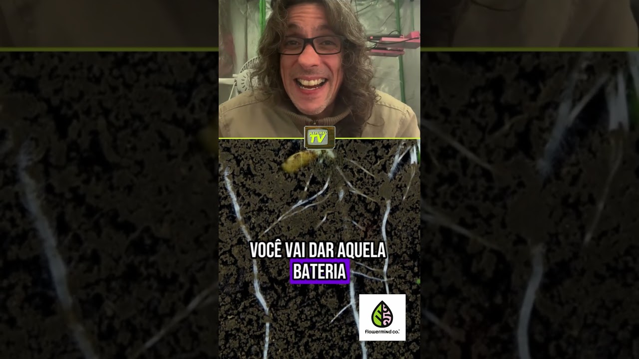 O QUE USAR NO TEU SUBSTRATO - Recado do professor!