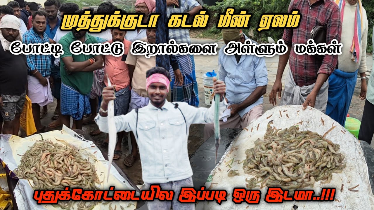 100 ரூபாய் முதல் இறால் கிடைக்குமா 😱 முத்துகுடா கடல் மீன் ஏலம் | Travel With Saran 