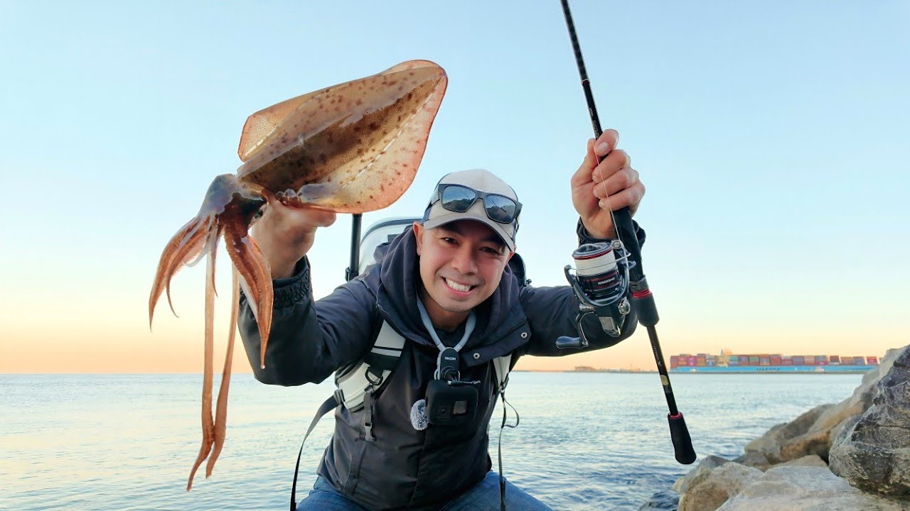 - CATCH and COOK - Land based SQUID Fishing 🦑