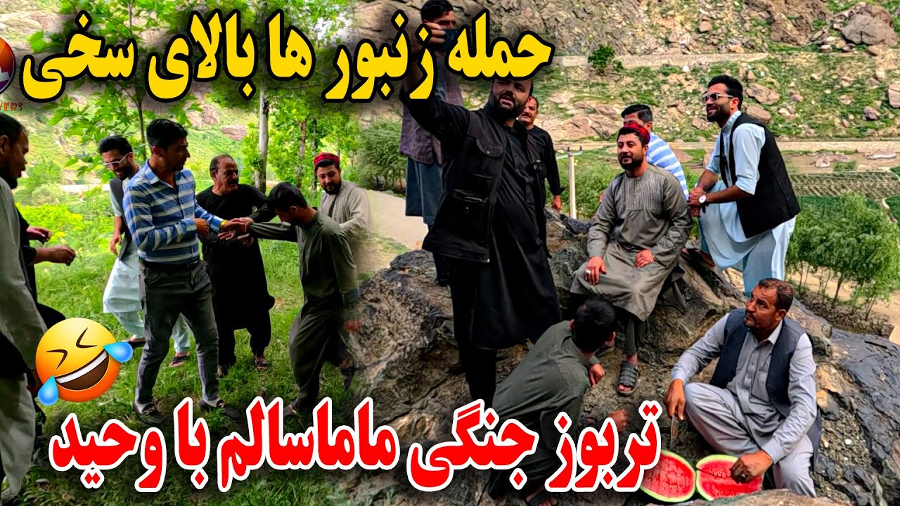 چشم سخی را زنبورگزید - تغیر چهره غلام سخی و برگشت از سفر