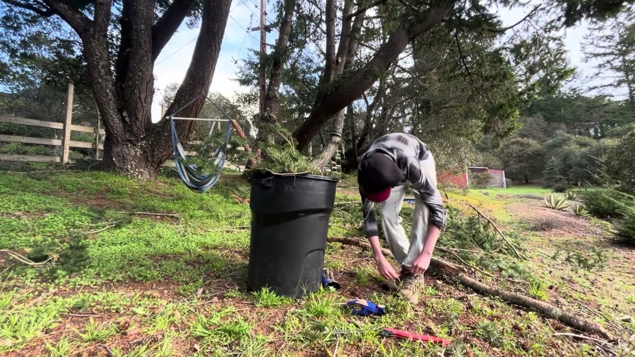 Vlog #4 storm cleanup