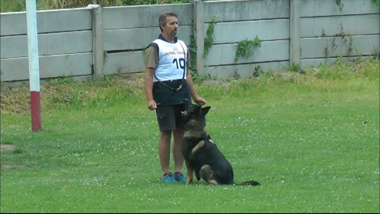 Urri z Kurimskeho haje - 3rd.Qualification Trial FCI and WUSV 2016 - B:92