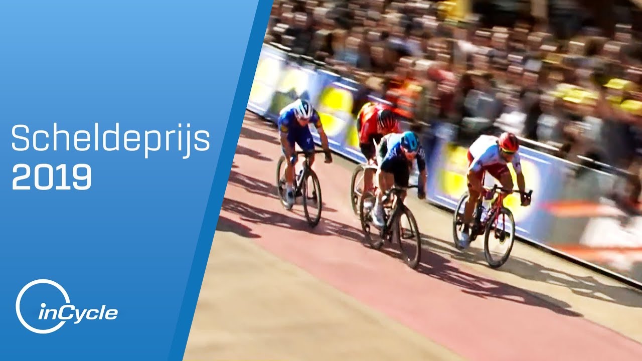 Scheldeprijs 2019 | Full Race Highlights | inCycle